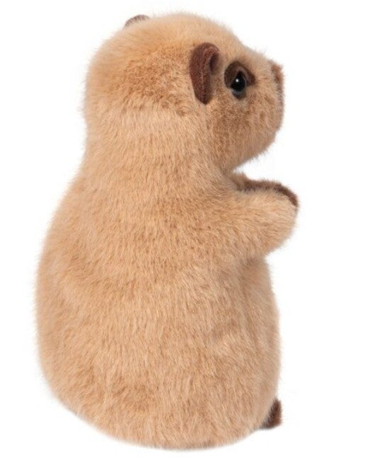 Mini Chattie Capybara