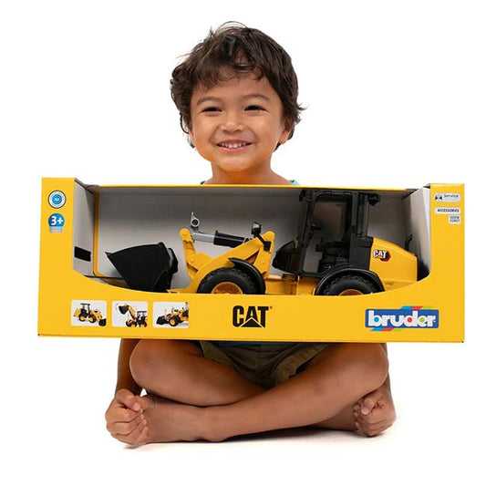 Cat Excavator August