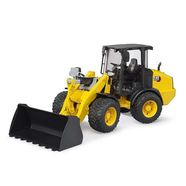 Cat Excavator August