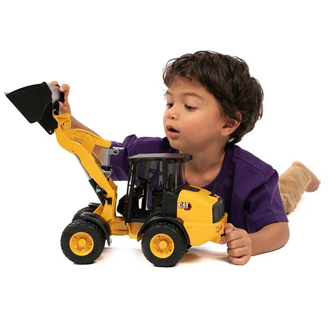 Cat Excavator August