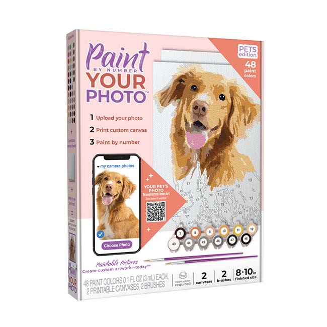 Pyo Photo by Number Pets