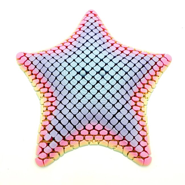 Articulated Starfish-1