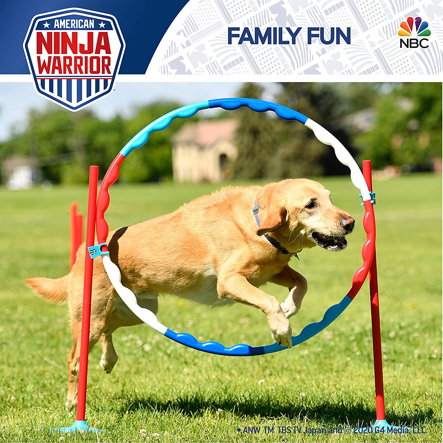 Family Agility Set