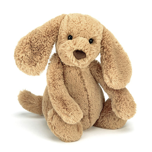 Bashful Puppy Med 12in