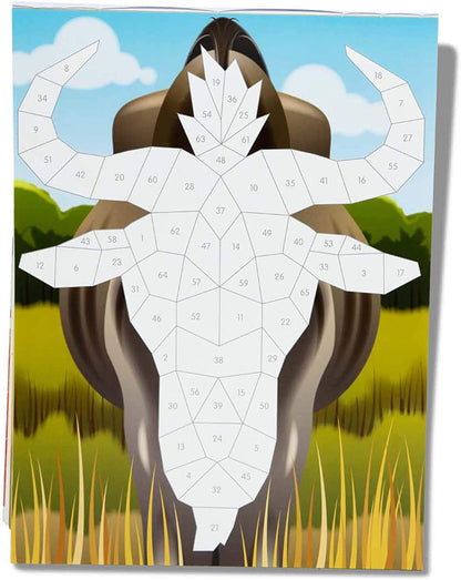 Safari