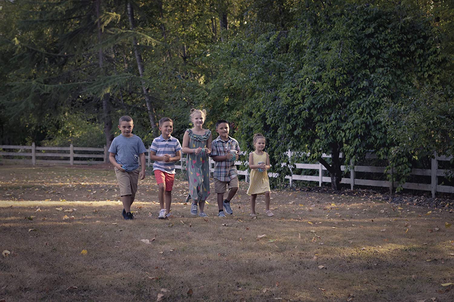 Chasing Fireflies
