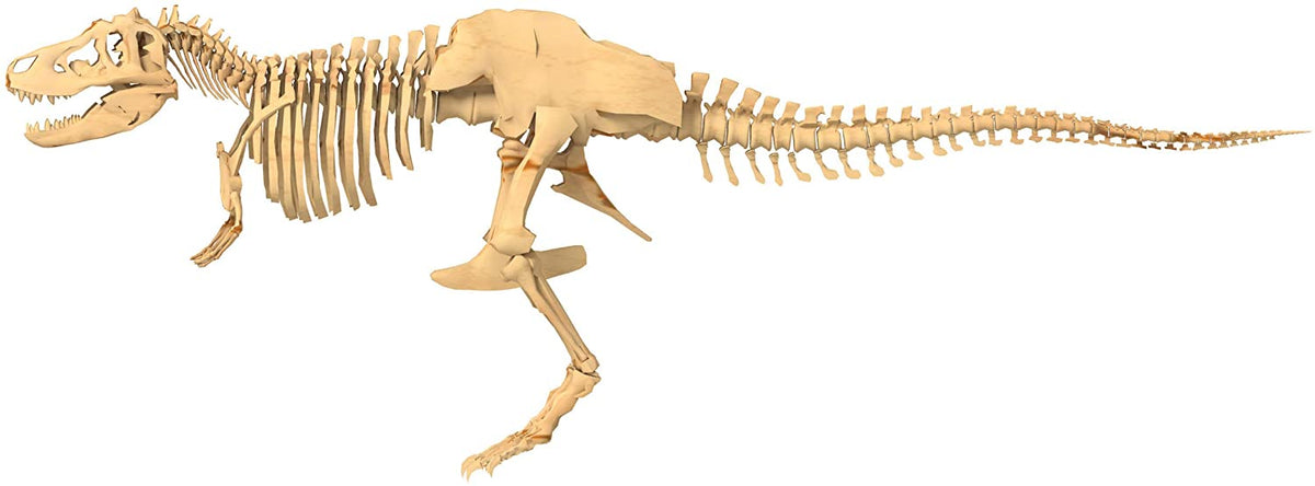 Giant Dinosaur Kit