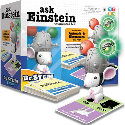 Einstein Animals & Dinos Flash Cards Booster Pack