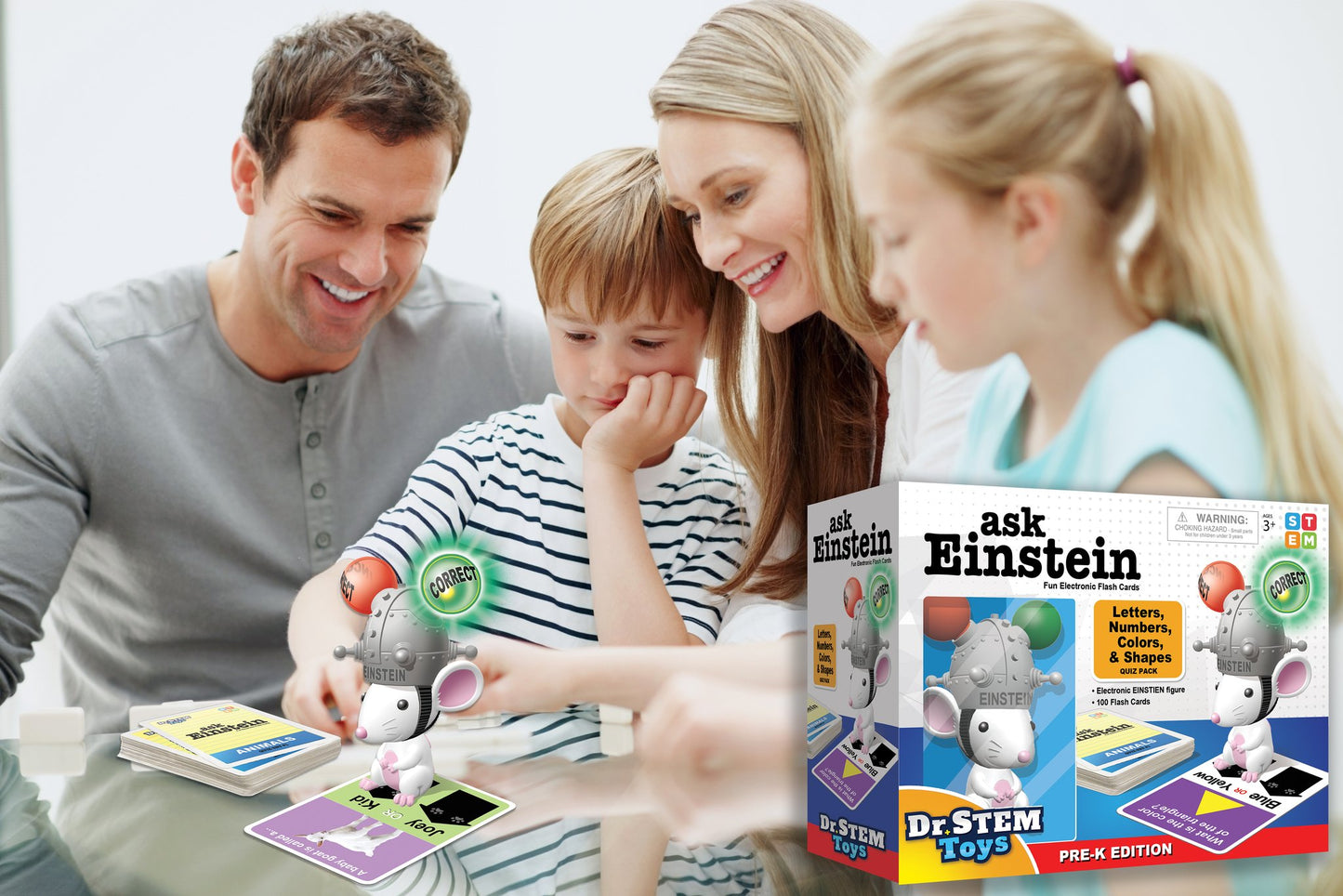 Einstein Animals & Dinos Flash Cards Booster Pack