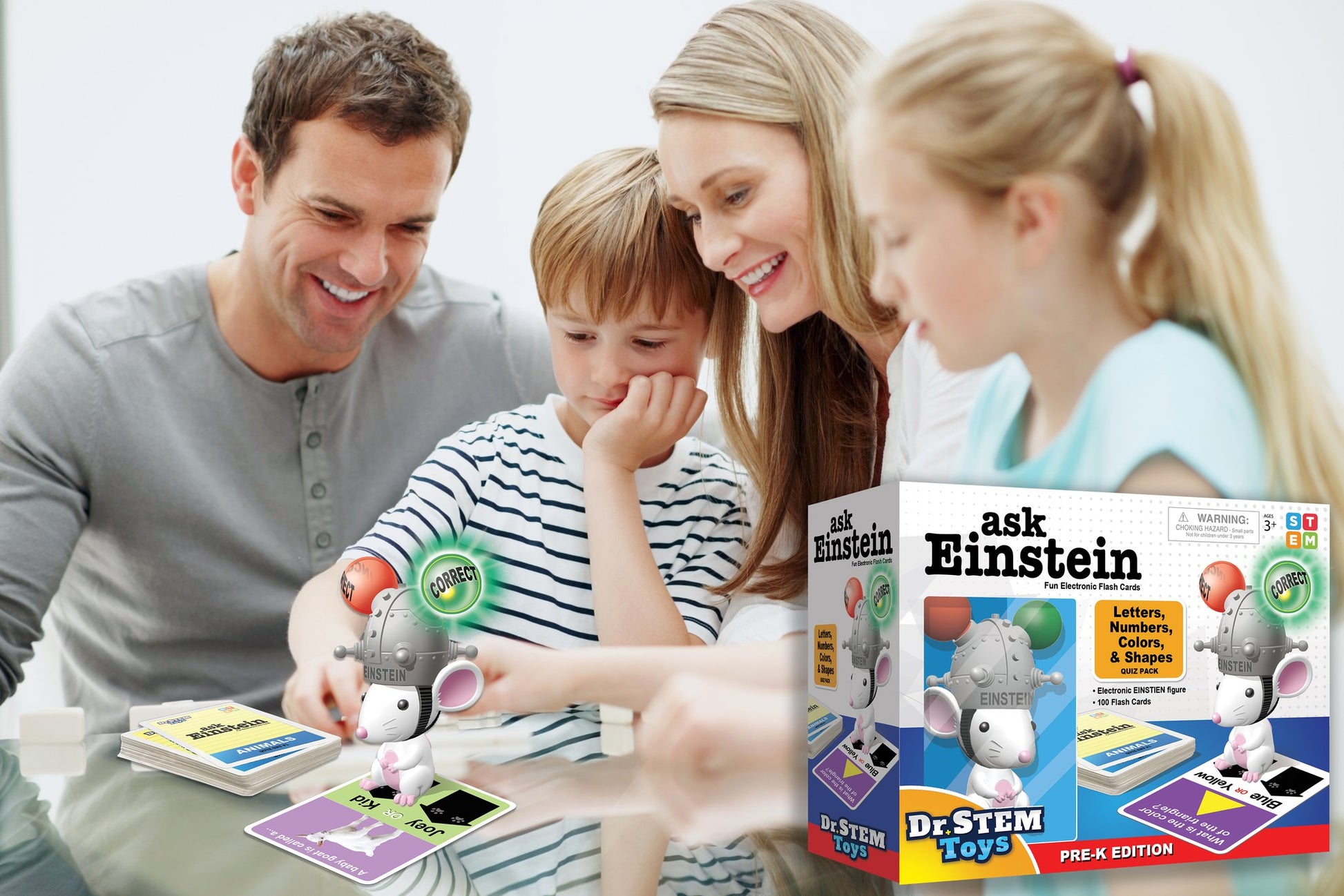 Einstein Animals & Dinos Flash Cards Booster Pack
