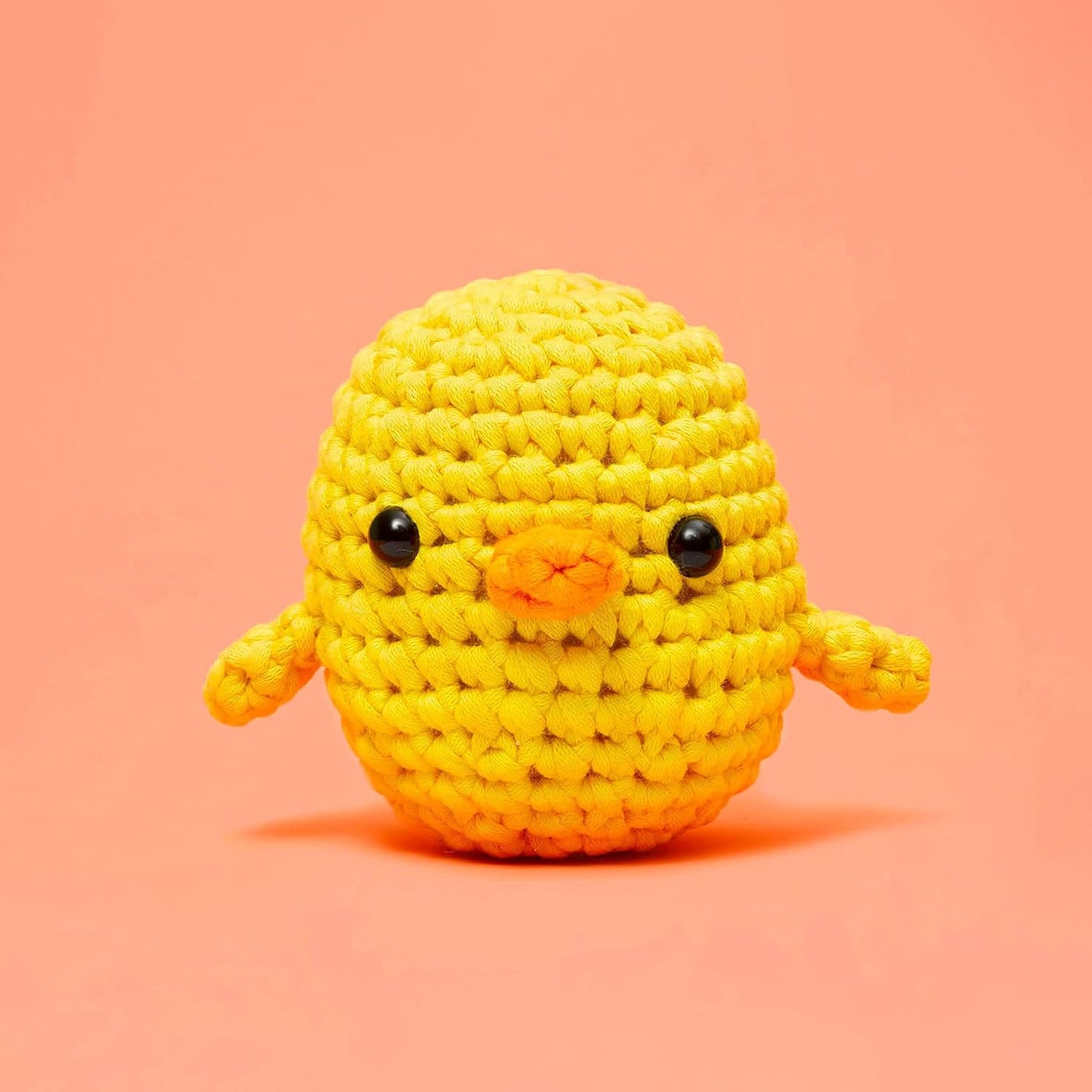 Kiki Chick Begin Crochet