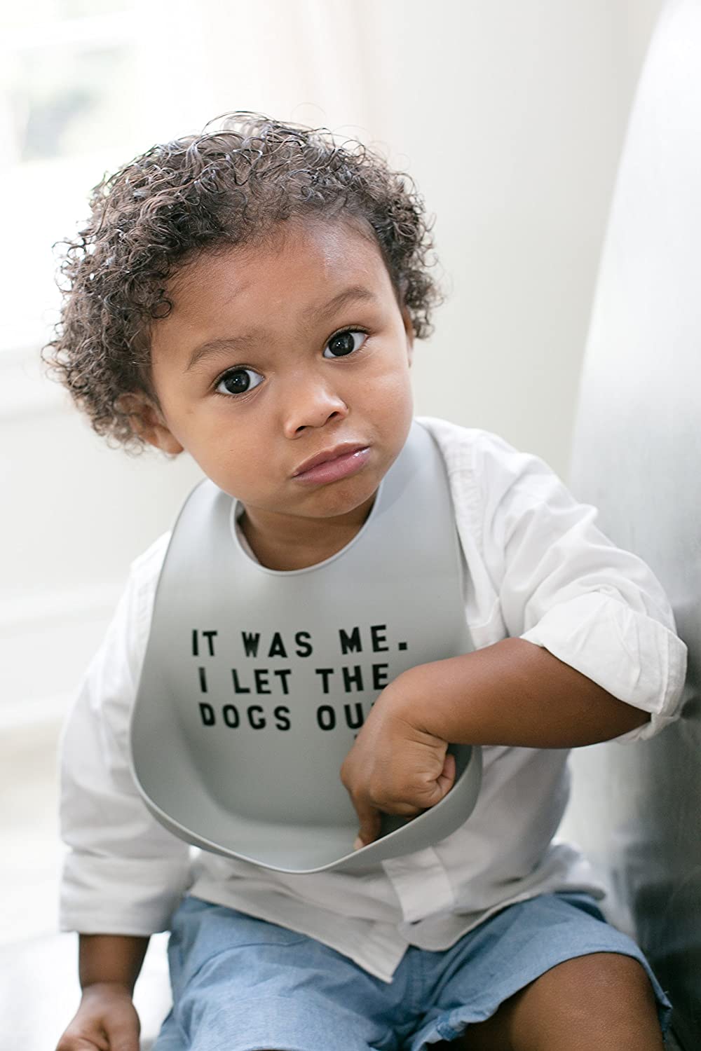 Dogs Out Wonder Bib