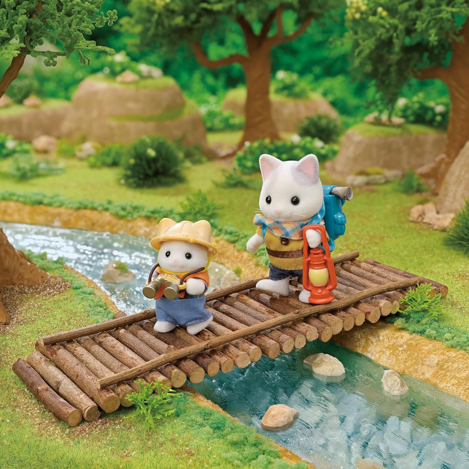 Cc Secret Exploration Set