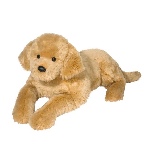 Sherman Golden Retriever-1