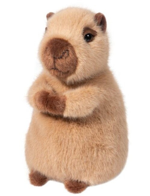 Mini Chattie Capybara