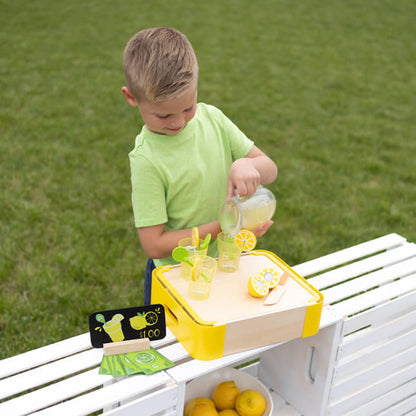 Pretendable Lemondade Set
