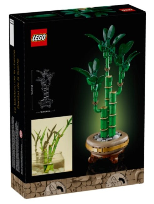 Botanicals 10344